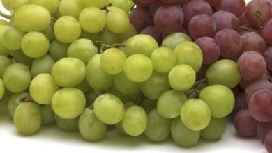Photo of GRAPES